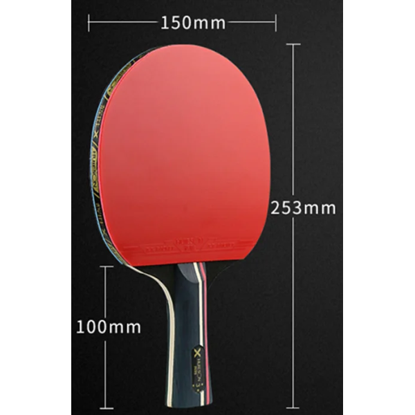 Set de Raquetas de Ping Pong 